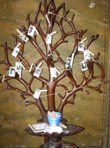 wedding-dj-faversham-mount-ephraim-picture-message-tree.jpg